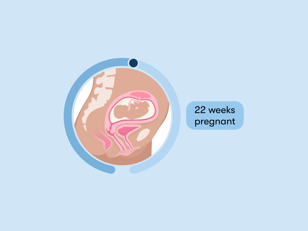 22 weeks pregnant Symptoms tips and baby development